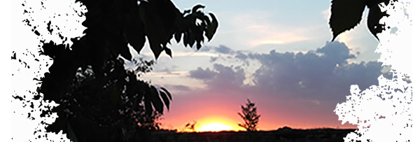 Crépuscule sur la Ferme