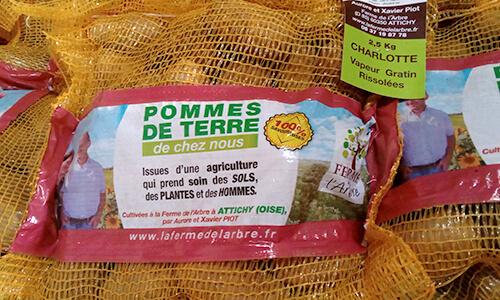Pomme de terre Pomme de terre